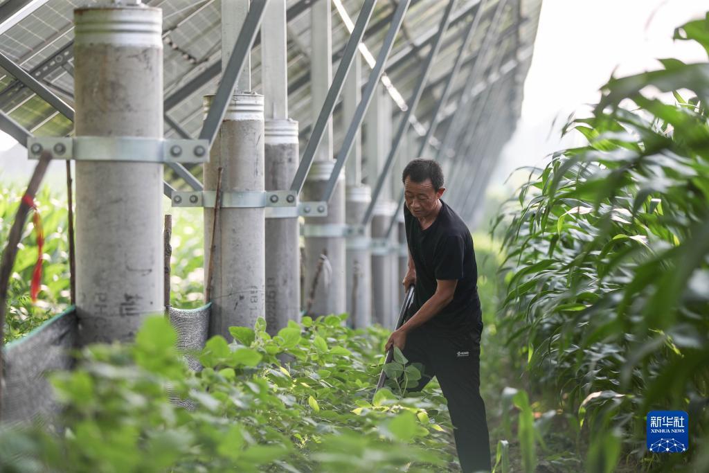 多宝游戏盒官网